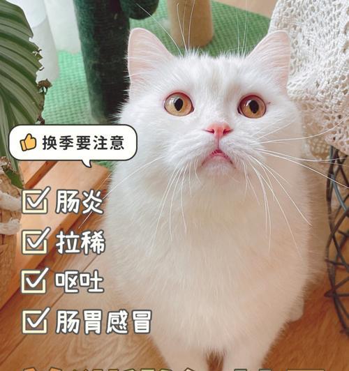 猫咪拉稀，如何重振精神？（以宠物为主，掌握治疗方法，让猫咪恢复活力）