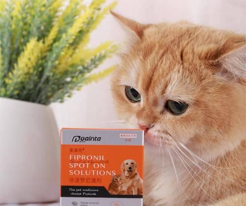 猫咪驱虫药有肉味？别让宠物误食了！（如何避免宠物误食驱虫药，让你的猫咪健康幸福。）