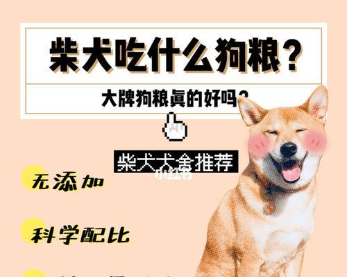 三个月的柴犬该吃什么狗粮？（如何选择适合三个月柴犬的营养狗粮？）