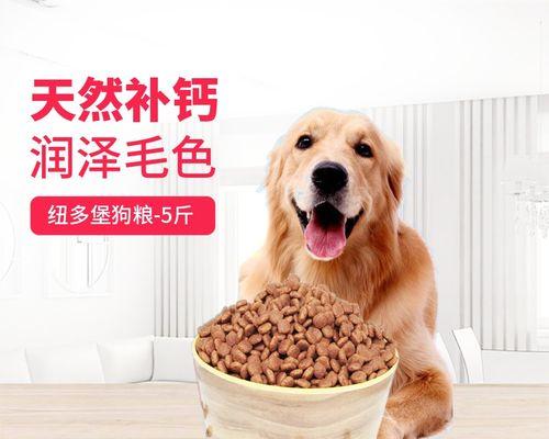 选择最适合萨摩耶幼犬吃的狗粮6大秘诀（宠物健康从饮食开始，从小培养萨摩耶幼犬的好习惯）