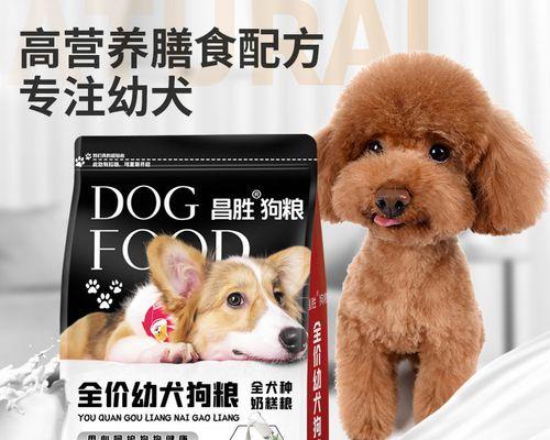 如何给五个月金毛合理饮食（每天应该喂多少狗粮？如何搭配其他食物？宠物健康需注意的事项）