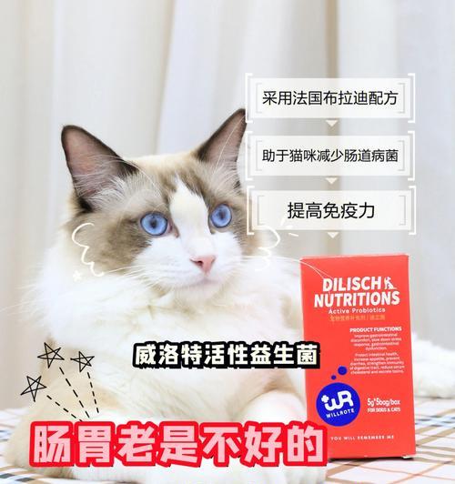 猫咪吐毛，如何有效预防和处理？（宠物毛发掉落不可避免，但吐毛需引起注意）