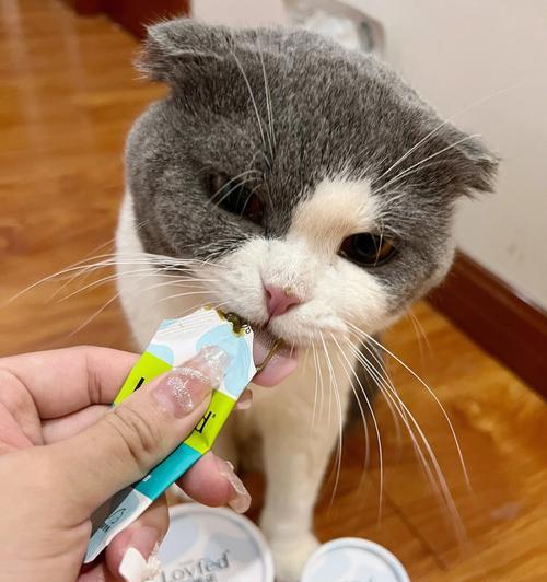 猫咪吐毛，如何有效预防和处理？（宠物毛发掉落不可避免，但吐毛需引起注意）