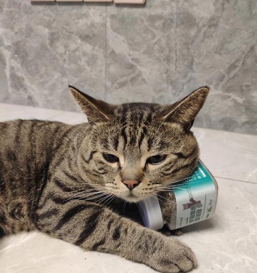 猫咪闻猫薄荷竟然没反应？（解密猫咪对猫薄荷的反应，让你更了解宠物）