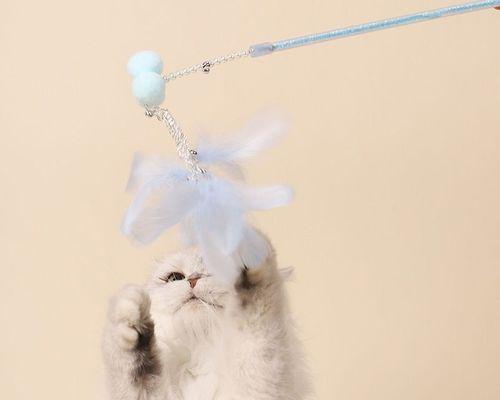 猫咪的铃铛狂热（为什么猫咪喜欢铃铛玩具？——探究猫咪对铃铛的兴趣）