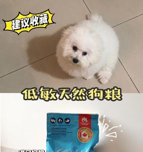 小比熊不喜欢吃泡水的狗粮的原因（以宠物为主，探究小狗为什么不爱吃泡水的狗粮）