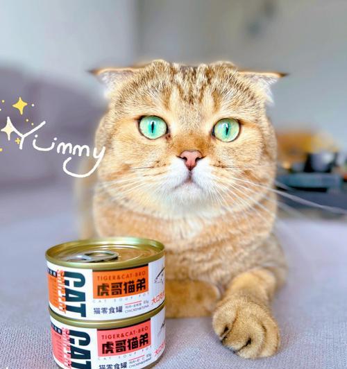 自制小猫罐头（以小猫罐头为主食，软便正常吗？宠物医生这么说！）