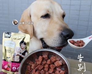 如何正确喂养幼犬？（以幼犬狗粮喂多少粒幼犬喂多少克狗粮为关键）