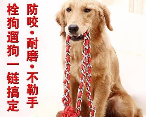 自制宠物牵引用品（手工制作狗狗咬绳和胸背牵引绳，让宠物爱上户外运动）