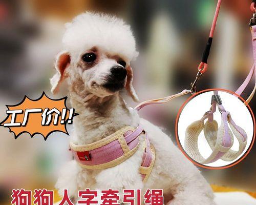 自制宠物牵引用品（手工制作狗狗咬绳和胸背牵引绳，让宠物爱上户外运动）