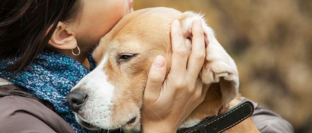 以幼犬喂养的注意事项（如何正确地喂养幼犬，让它们健康成长？）