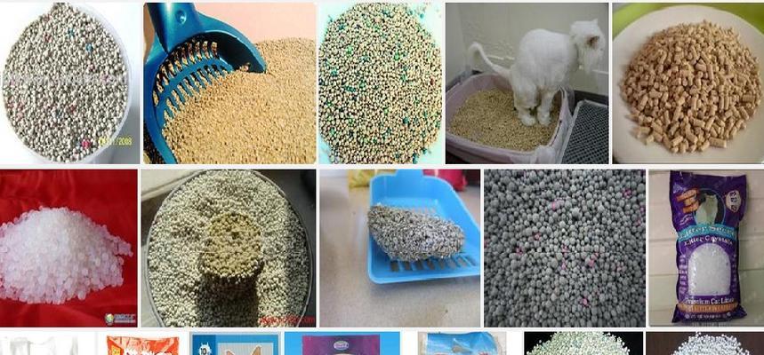 猫咪使用猫砂的关键年龄（宠物猫的健康成长从猫砂开始）