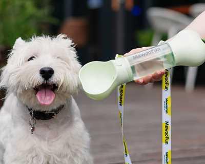新生狗狗的喝水方式（为宠物的健康着想）