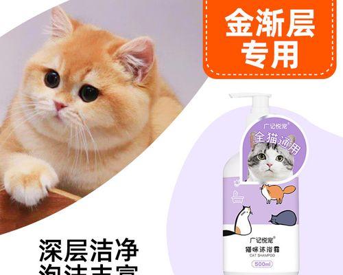 无需沐浴露，如何给宠物猫洗澡（用天然材料让小猫焕然一新）