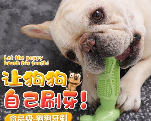 为什么让宠物狗狗吃磨牙棒（宠物狗狗磨牙棒有哪些好处）