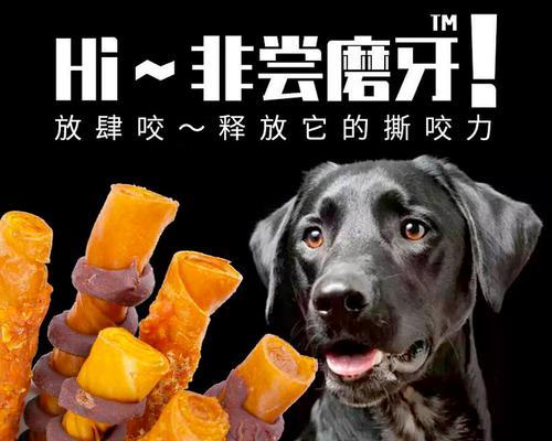 为什么让宠物狗狗吃磨牙棒（宠物狗狗磨牙棒有哪些好处）
