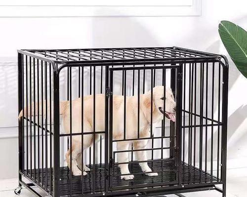 让宠物狗狗从小喜欢笼子