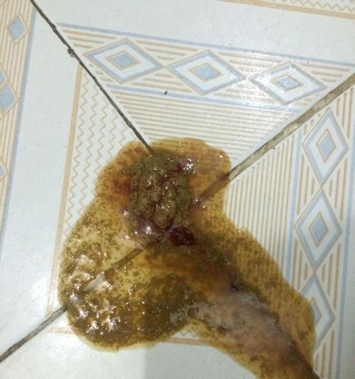 狗狗拉肚子的处理方法（以宠物为主）