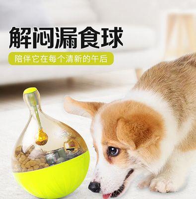 狗狗为什么不吃不喝（从宠物的角度来看可能存在哪些原因）