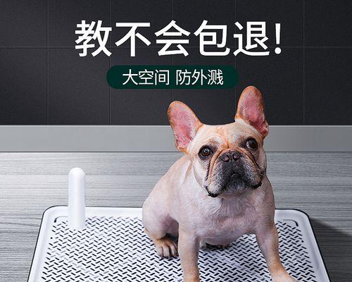 狗狗环境换了不拉屎，问题解决方法详解（宠物的健康和主人的心情都不能忽略）