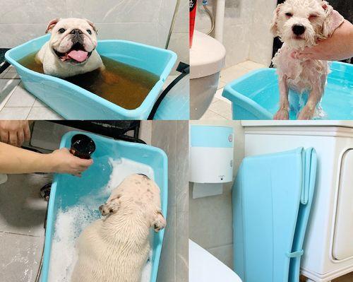 爱宠泡澡不难，快来学习如何让你的狗狗享受浴缸时光吧（狗狗可以浴缸泡澡吗）