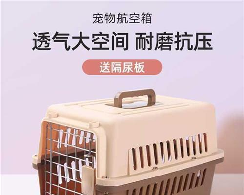 狗狗空运注意事项（宠物航班前后必知）