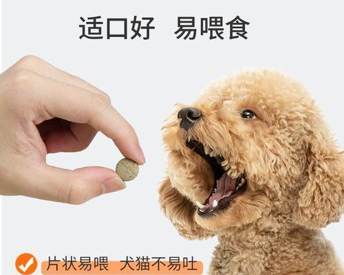 狗狗流鼻涕咳嗽该如何治疗（宠物健康需及时关注）
