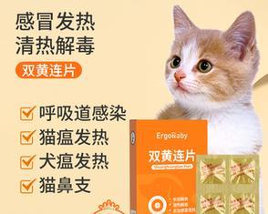 狗狗流鼻涕咳嗽该如何治疗（宠物健康需及时关注）