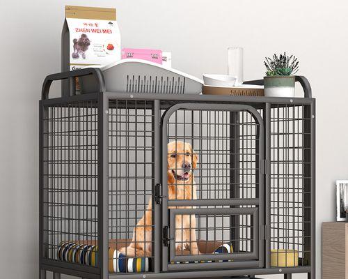 如何为狗狗的笼子选择玩具（让你的狗狗在笼子里也能快乐玩耍）