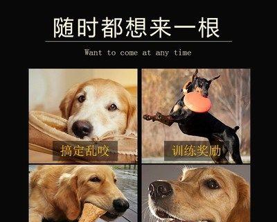 狗狗磨牙棒的使用期限是多久（宠物爱好者必知）