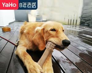 如何选择适合狗狗的磨牙棒（掌握这些技巧）