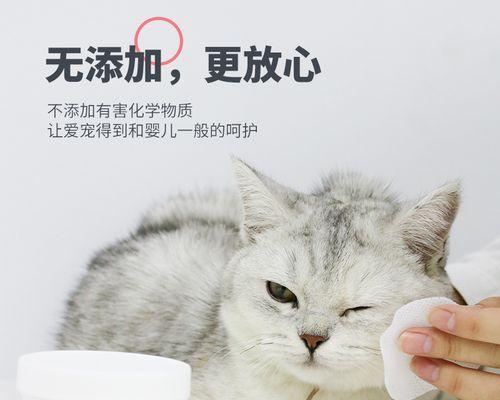 猫咪清洁用品分析——让你的爱猫健康舒适（探究猫咪清洁用品的种类和使用方法）