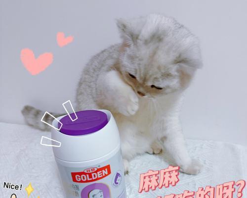 揭秘宠物猫咪乳糖不耐症，保护毛孩子健康（了解猫咪乳糖不耐症的成因与症状）