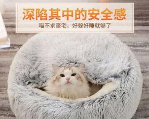 如何为宠物猫咪准备一个舒适的窝（打造完美的猫窝）