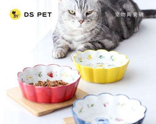 猫咪陶瓷碗护颈，给你的宠物更健康的生活（如何选择适合猫咪的陶瓷碗）