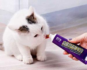 猫咪为什么如此喜欢营养膏（揭秘营养膏的神奇吸引力与猫咪的特殊需求）