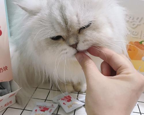 猫咪舔酸奶流眼泪的原因探究（揭开宠物猫咪为什么舔酸奶会流眼泪的秘密）
