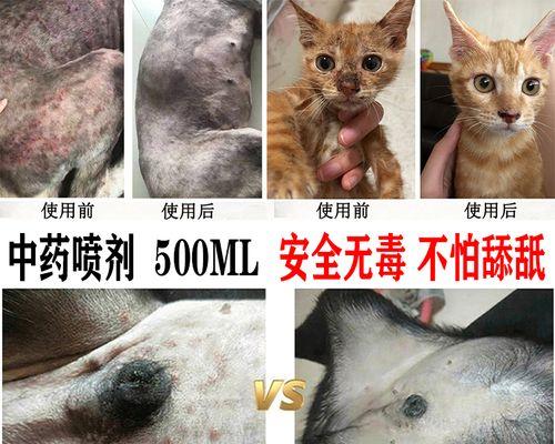 救治猫咪外伤急需掌握的药物（以宠物为主）