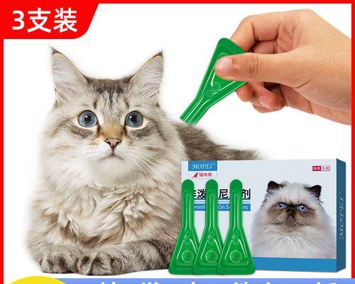 如何让宠物猫咪轻松服用液体药（实用技巧帮助主人渡过难关）
