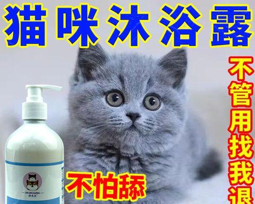 如何正确给宠物猫洗澡（掌握洗澡频率）