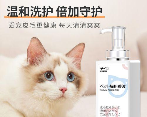 如何正确给宠物猫洗澡（掌握洗澡频率）