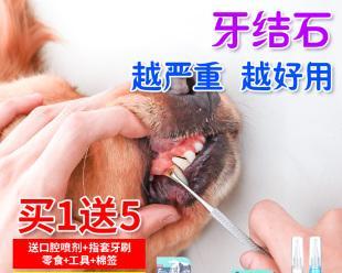 猫咪牙齿清洁液，给宠物健康呵护（从猫咪口腔健康说起）
