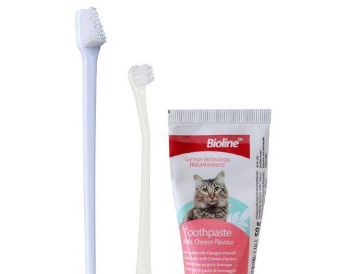 猫咪牙齿清洁液，给宠物健康呵护（从猫咪口腔健康说起）