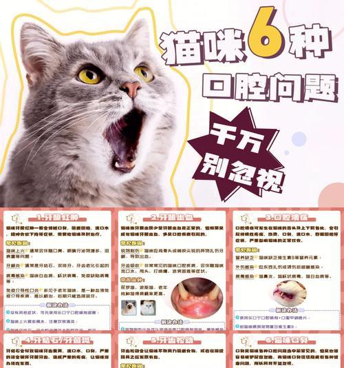 宠物猫牙龈红肿口臭掉牙的原因和治疗方法（揭秘猫咪口腔问题的隐患）
