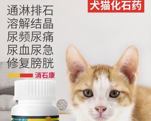 猫咪尿结石，如何预防和治疗（宠物健康）