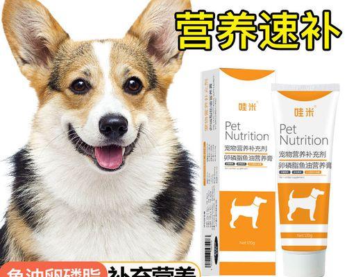 如何给小狗狗提供营养均衡的饮食（小狗狗的饮食需要注意什么）