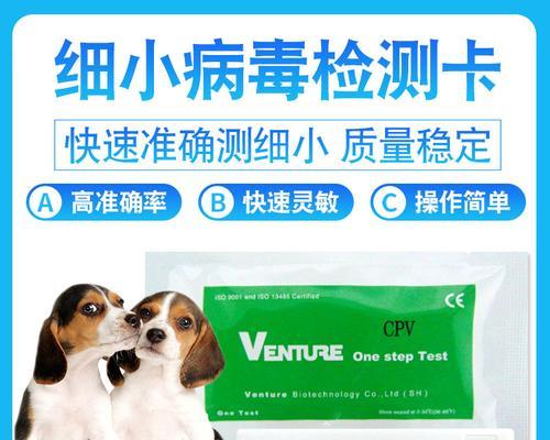 小狗犬瘟的危害与预防措施（绿色便便揭示犬瘟的真相）