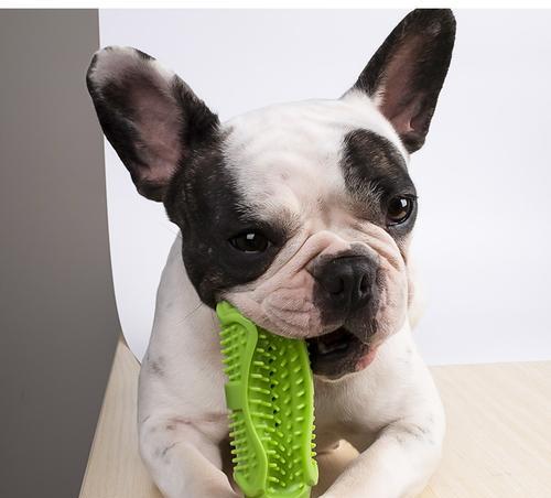 三个月以下的宠物狗可以吃磨牙棒吗（宠物狗的咀嚼需要和磨牙棒有关）