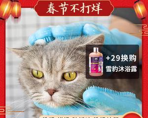 宠物猫咪洗澡，选择什么洗澡剂好（探讨宠物猫咪洗澡剂的种类及使用）