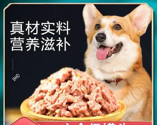 泰迪狗狗不想吃狗粮怎么办（以人类食品代替狗粮的好处和注意事项）